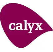 Calyx Bay Area Construction Companies - Calyx